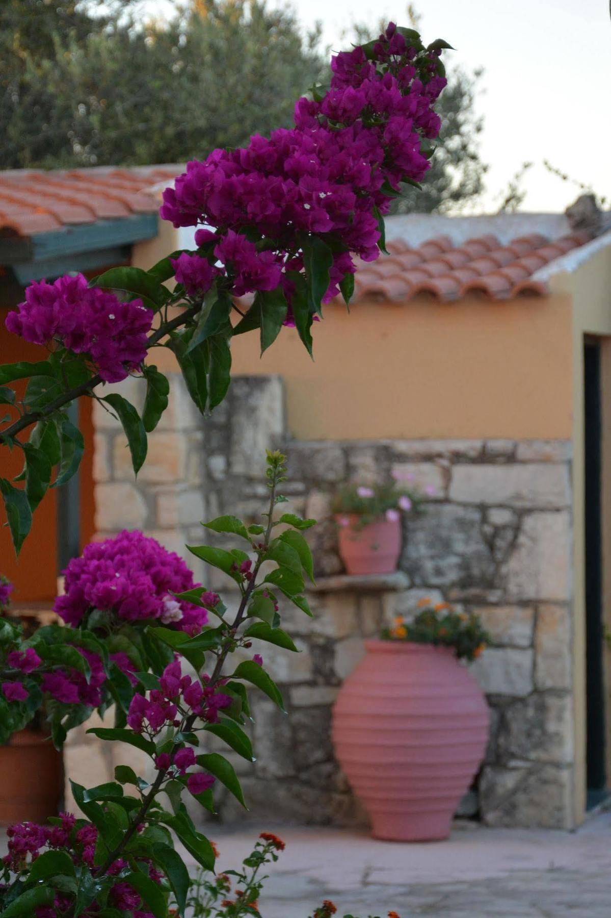 Villa Galini Episkopi  Exterior photo